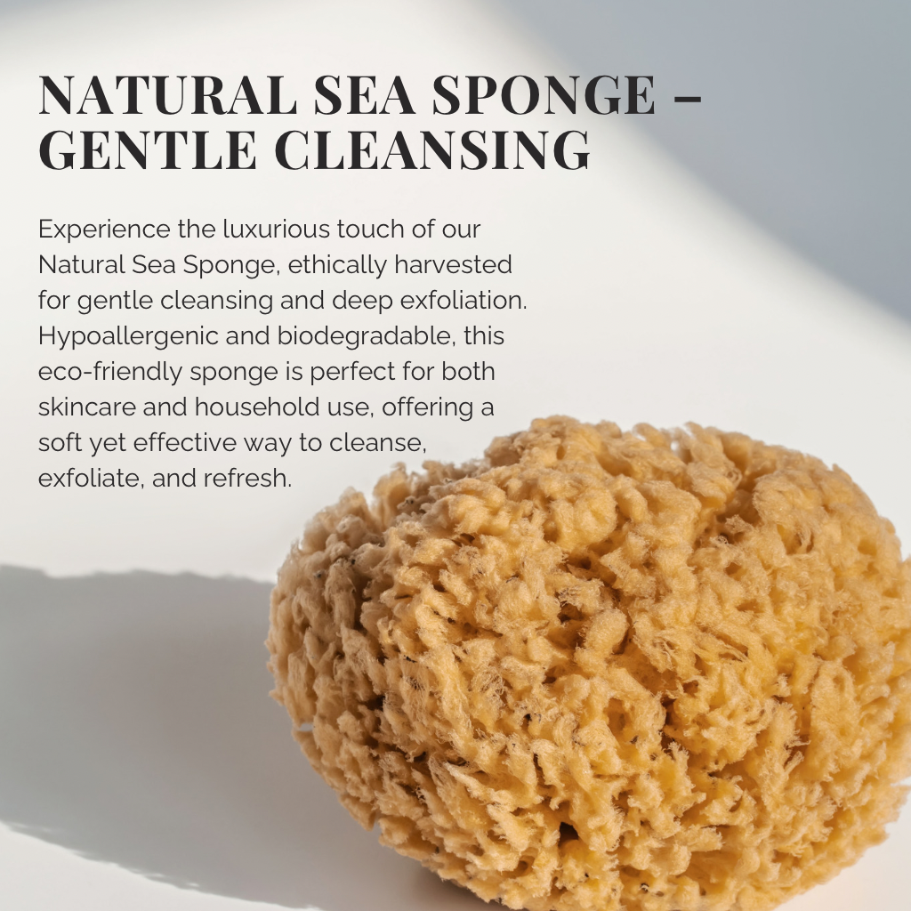 Natural Sea Sponge