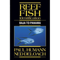 Reef Fish Identification: Baja to Panama