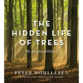 The Hidden Life of Trees: The Illustrated Edition