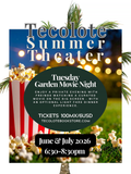 Season Pass - Summer Movie Night - June-July 2026 - Event Ticket