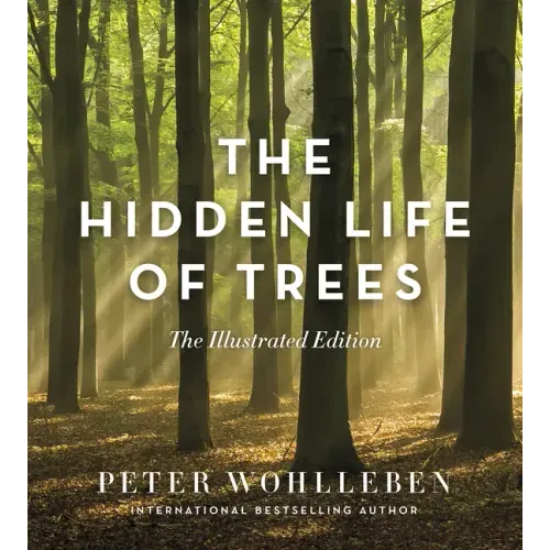 The Hidden Life of Trees: The Illustrated Edition