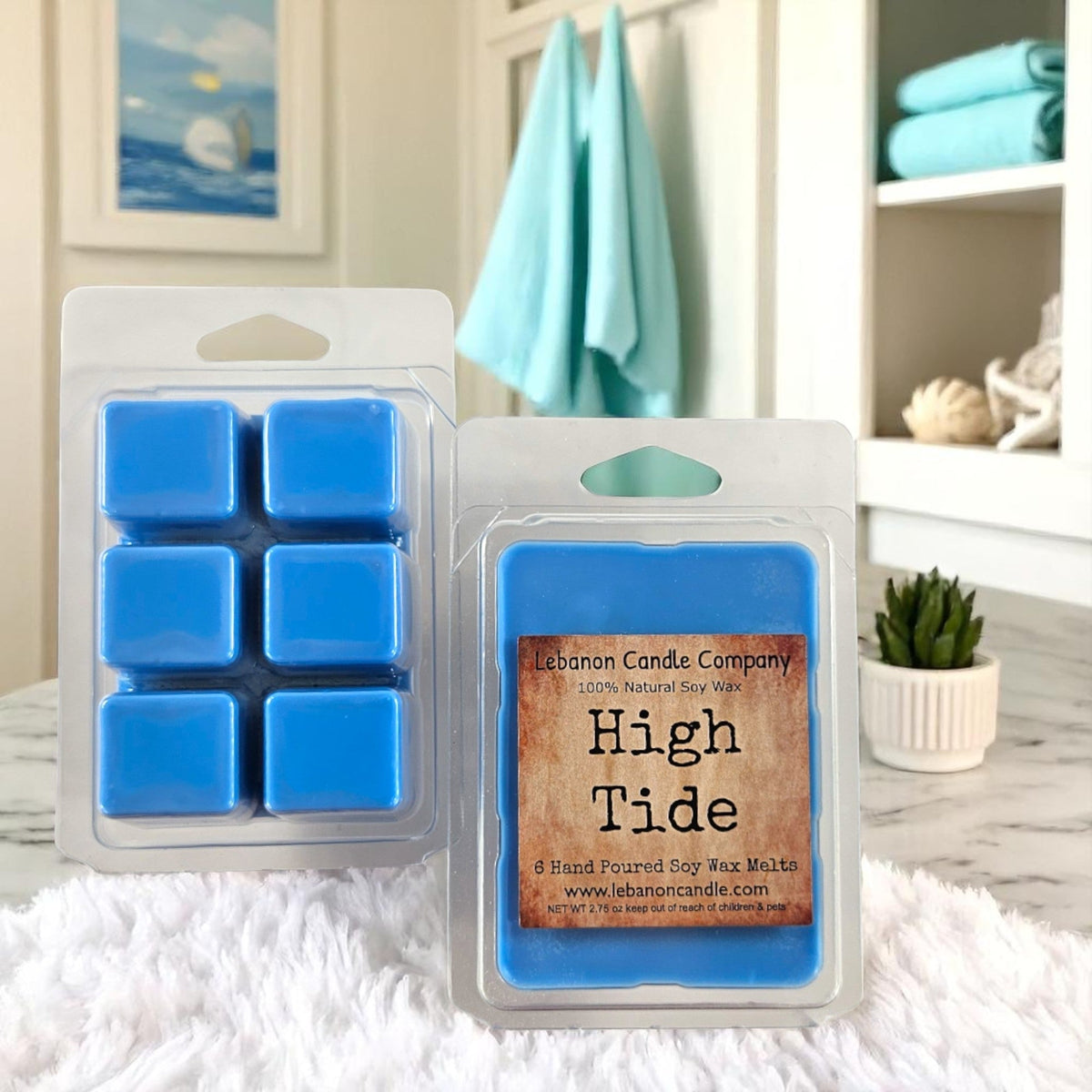 High Tide Wax Melt